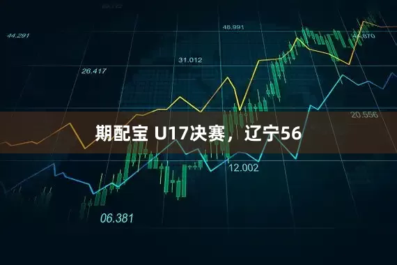 期配宝 U17决赛，辽宁56